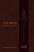 Cover: Kedushat Aviv - Toby Publishing Ltd.