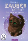 Cover: Zauberk&auml;tzchen - Ein magischer Moment (Zauberk&auml;tzchen 13) - arsEdition