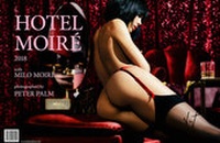Abbildung von: HOTEL MOIRÉ - UNLIMITEDMUSE