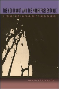 Enlarge image Cover: The Holocaust and the Nonrepresentable - State University of New York Press