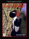 Cover: Iowa Birdlife - University of Iowa Press