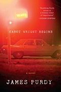 Cover: Cabot Wright Begins - Liveright Publishing Corporation