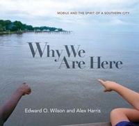 Abbildung von: Why We Are Here - Liveright Publishing Corporation