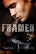 Cover: Framed - Elite Professionals Publishing