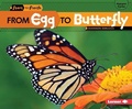 Cover: From Egg to Butterfly - Lerner Publications Co ,U.S.