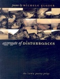 Cover: Aggregate of Disturbances - University of Iowa Press