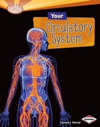 Enlarge image Cover: Your Circulatory System - Lerner Publications Co ,U.S.