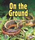 Cover: On the Ground - LernerClassroom