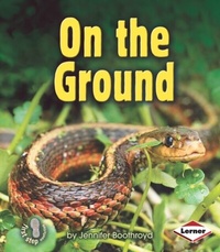 Enlarge image Cover: On the Ground - LernerClassroom