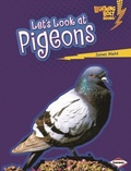 Cover: Let's Look at Pigeons - Lerner Publications Co ,U.S.