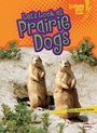 Cover: Let's Look at Prairie Dogs - Lerner Publications Co ,U.S.