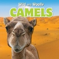 Enlarge image Cover: Camels - PowerKids Press