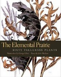 Enlarge image Cover: The Elemental Prairie - University of Iowa Press