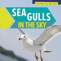 Enlarge image Cover: Sea Gulls in the Sky - PowerKids Press
