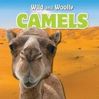 Enlarge image Cover: Camels - PowerKids Press