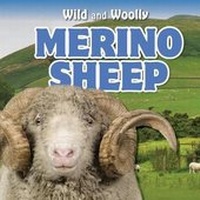 Enlarge image Cover: Merino Sheep - PowerKids Press