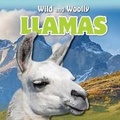 Cover: Llamas - PowerKids Press