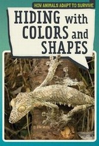 Enlarge image Cover: Hiding with Colors and Shapes - PowerKids Press