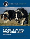 Cover: Secrets Of The Working Mind - First Stone Publishing