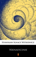 Cover: Nienasycenie - Ktoczyta.pl