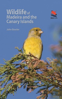 Abbildung von: Wildlife of Madeira and the Canary Islands - Princeton University Press