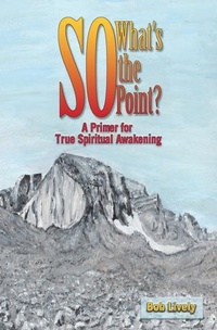Enlarge image Cover: So What's The Point? - Treaty Oak Publishers