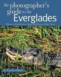 Enlarge image Cover: The Photographer's Guide to the Everglades - Countryman Press Inc.