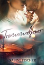 Cover: Trommelfeuer - Eisermann Verlag