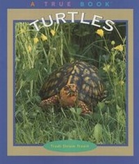 Enlarge image Cover: Turtles - Children's Press(CT)