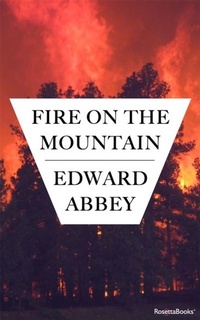 Enlarge image Cover: Fire on the Mountain - RosettaBooks