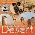 Cover: Animals in the Desert - Kidhaven Publishing