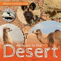 Enlarge image Cover: Animals in the Desert - Kidhaven Publishing