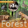 Cover: Animals in the Forest - Kidhaven Publishing