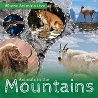Enlarge image Cover: Animals in the Mountains - Kidhaven Publishing