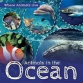 Cover: Animals in the Ocean - Kidhaven Publishing