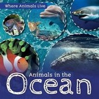 Enlarge image Cover: Animals in the Ocean - Kidhaven Publishing