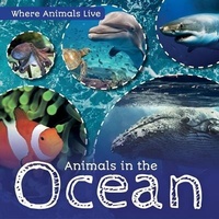 Enlarge image Cover: Animals in the Ocean - Kidhaven Publishing