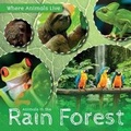 Cover: Animals in the Rain Forest - Kidhaven Publishing