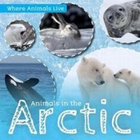 Enlarge image Cover: Animals in the Arctic - Kidhaven Publishing