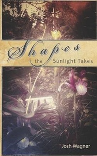 Enlarge image Cover: Shapes the Sunlight Takes - Asymmetrical Press