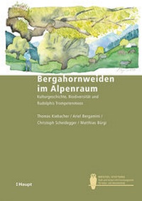 Abbildung von: Bergahornweiden im Alpenraum - Haupt Verlag