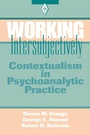 Cover: Working Intersubjectively - Analytic Press,U.S.
