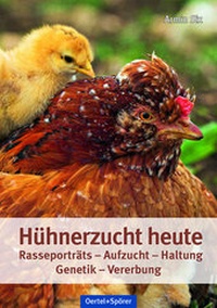 Abbildung von: Hühnerzucht heute - Oertel u. Spörer