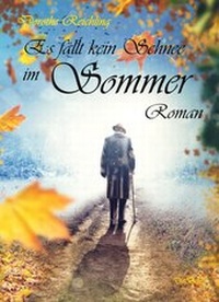 Abbildung von: Es fällt kein Schnee im Sommer - Roman - Verlag DeBehr