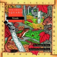 Enlarge image Cover: One Small Square: Woods - McGraw-Hill Professional