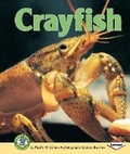 Cover: Crayfish - Lerner Classroom