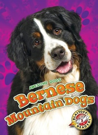 Enlarge image Cover: Bernese Mountain Dogs - Blastoff! Readers