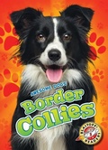 Cover: Border Collies - Blastoff! Readers