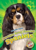 Cover: Cavalier King Charles Spaniels - Blastoff! Readers