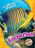 Cover: Angelfish - Blastoff! Readers